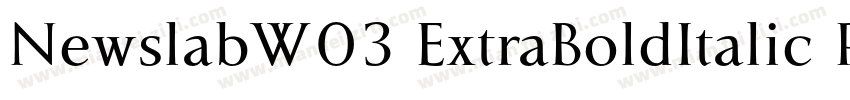 NewslabW03 ExtraBoldItalic Regular字体转换